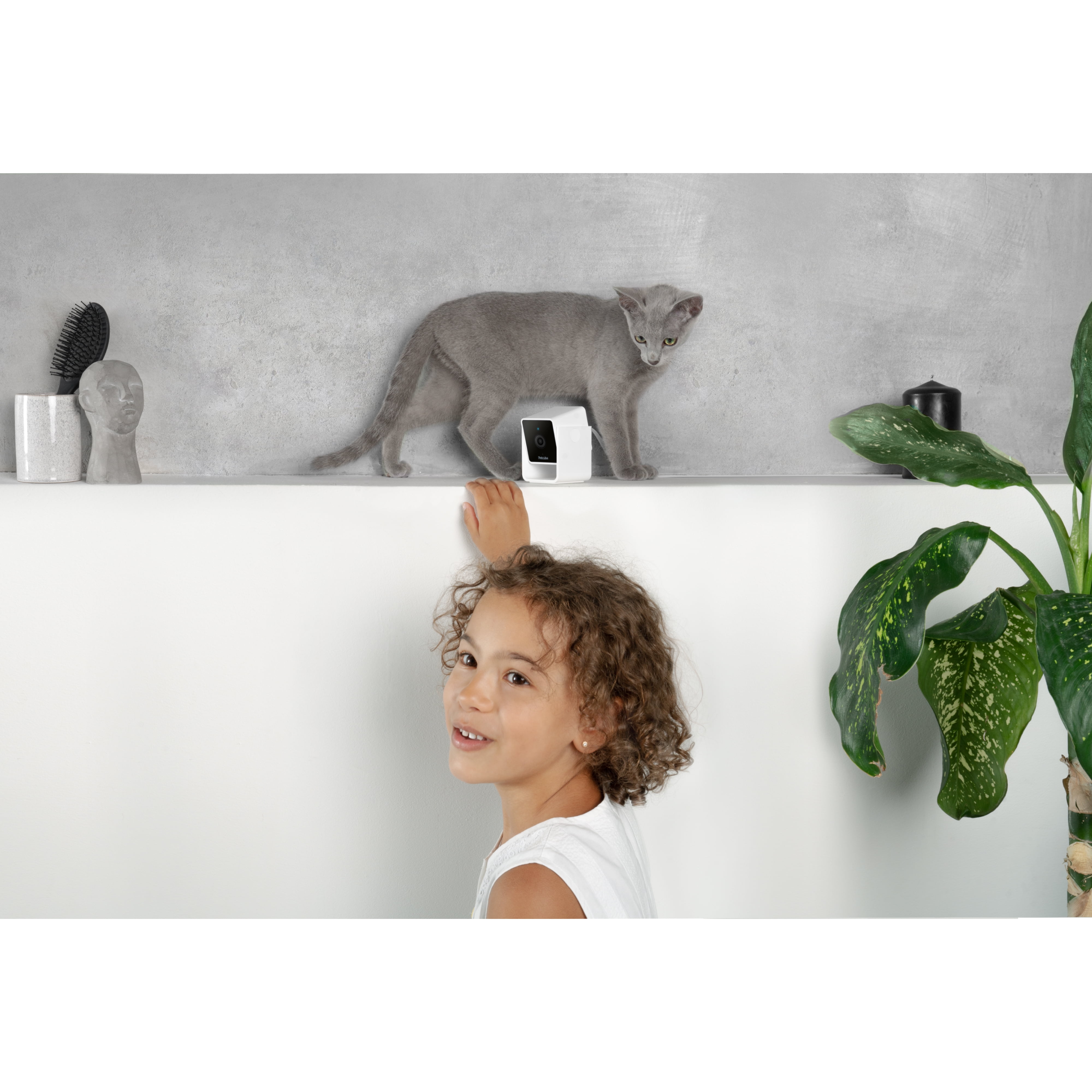 Petcube Caméra intérieure Wi-Fi pour animaux et sécurité avec application mobile