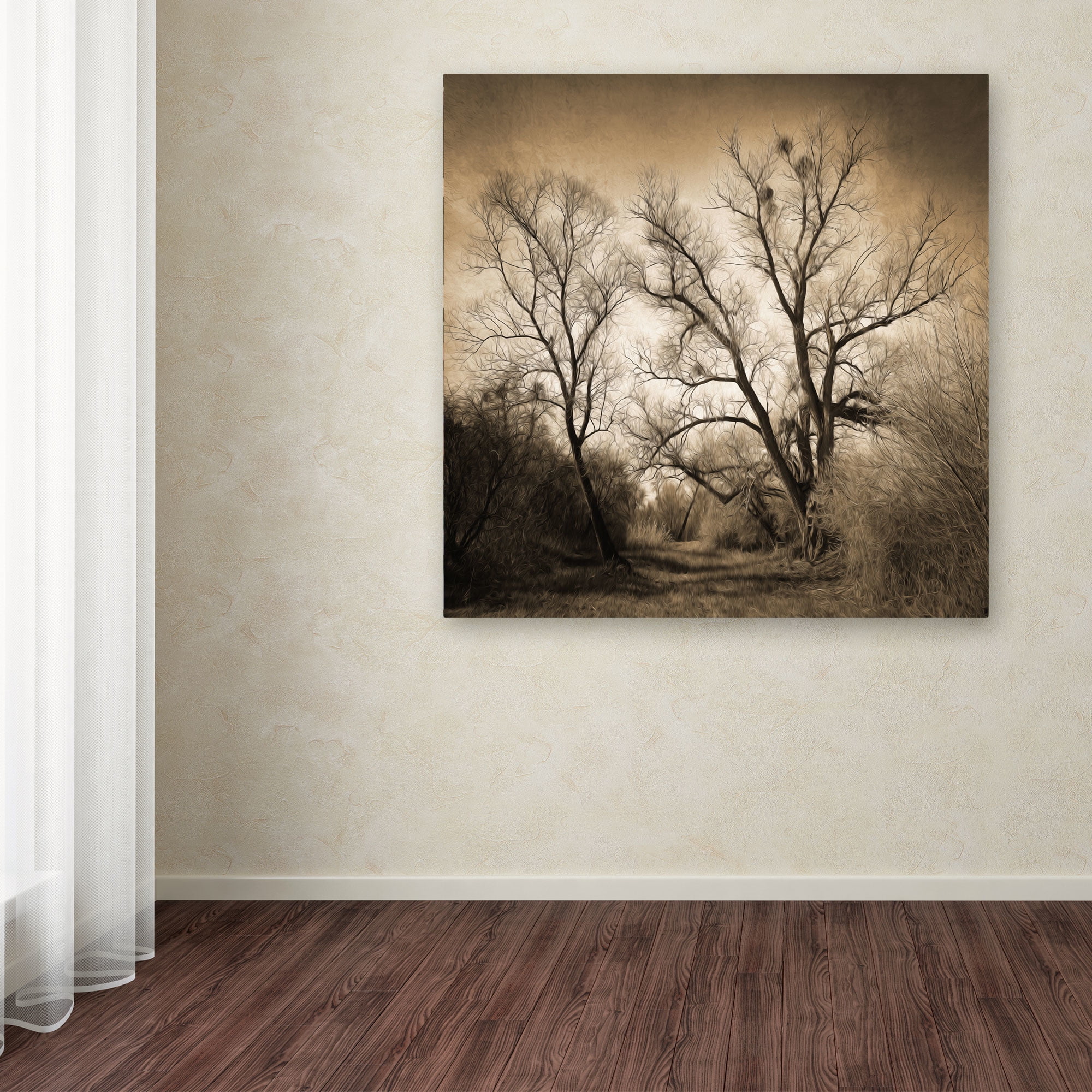 Trademark Fine Art "Sepia Ghost" Canvas Art by Philippe Sainte-Laudy