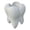 A, variant on Cute White Ceramic Tooth Succulent Planter Pot with Drainage Tray | with Drainage Hole and Saucer, Small Mini Size, Toothbrush/Pencil/Air Holder, Dental Gift, Cactus Flower Container
