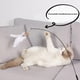 thumbnail image 4 of Varita de juguete para gato, pluma esponjosa con campana, palo succionador, juguetes interactivos para gatos, gatito, caza, ejercicio, producto para mascotas, 4 of 4