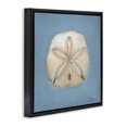 thumbnail image 2 of Stupell Industries Traditional Soft Sea Sand Dollar Black Floating Frame Canvas Art, 18 x 18, by Julia Purinton, 2 of 7