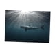 thumbnail image 4 of Imagen de fondo adhesiva lateral para pecera de acuario XS, 4 of 9