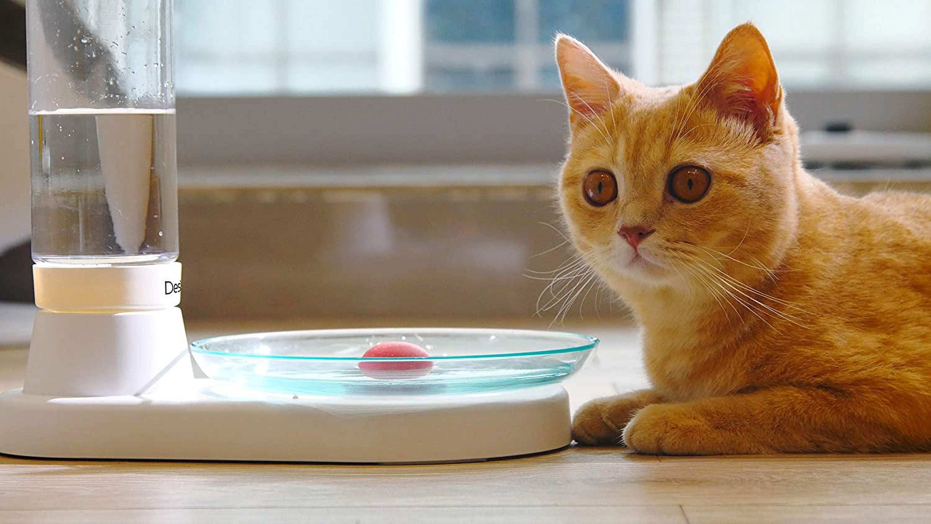 Non-Electric Pet Fountain, No-Filter Cat Fountain Quiet Automatic Pet Drinking Fountain to Keep Your Cats and Dogs with Clean Water Every Day