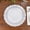 Pearl White, variant on Balsa Circle 10 Pearl White 7" Disposable Plastic Salad Dinner Plates Silver Scalloped Rim Party Events Decorations