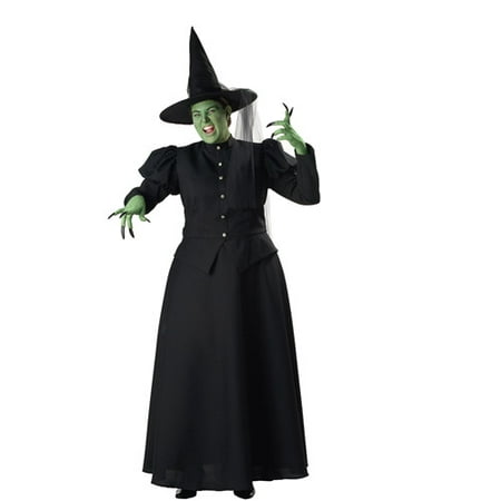Witch Women's Plus Size Adult Halloween Costume, One Size, XXXL (24-26)