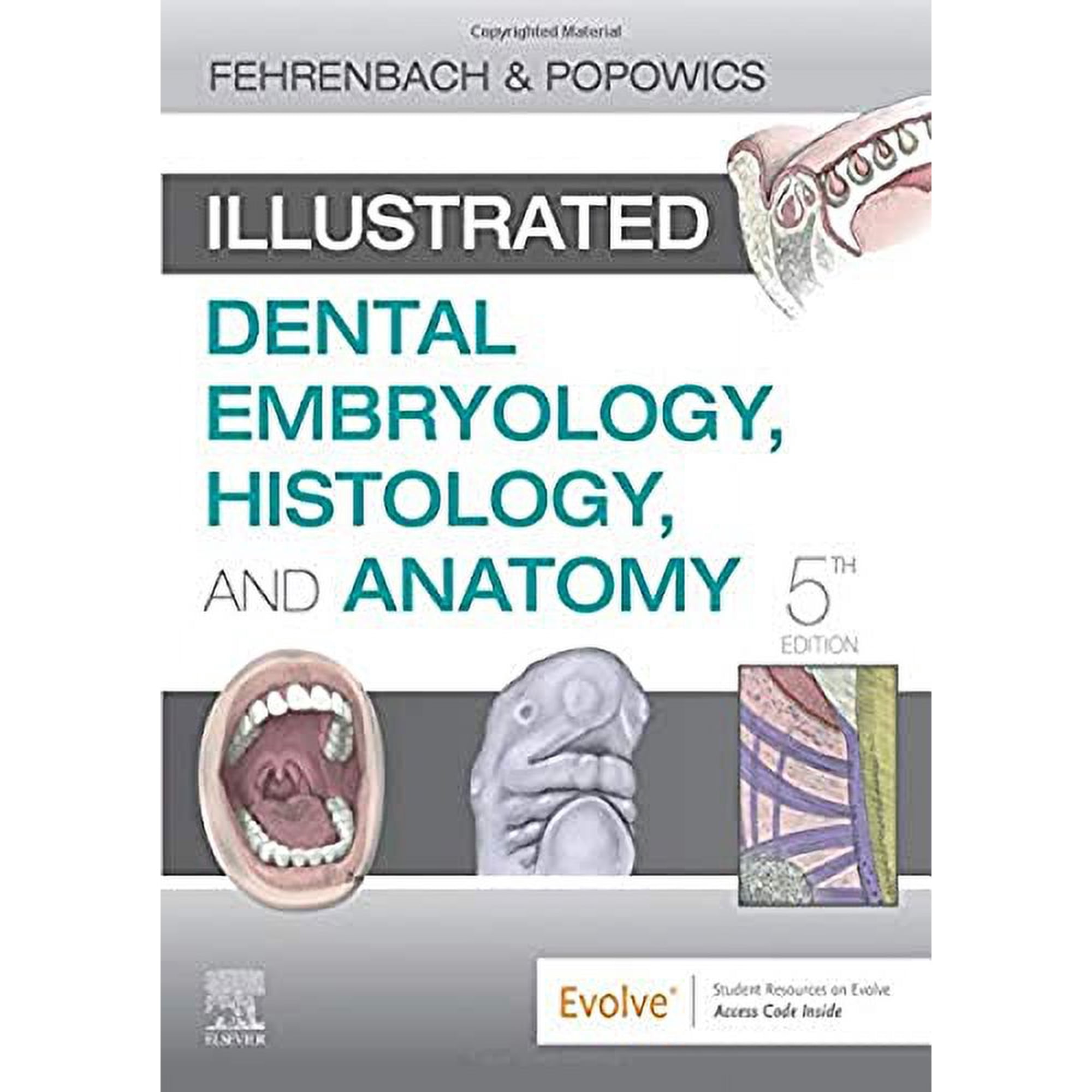 Illustrated Dental Embryology, Histology, and Anatomy, (Paperback)