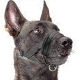 thumbnail image 1 of Nylon Soft Dog Muzzle, Anti-bit, Anti-bark, Anti-chew, Adjustable Ring (xl, Black), 1 of 5
