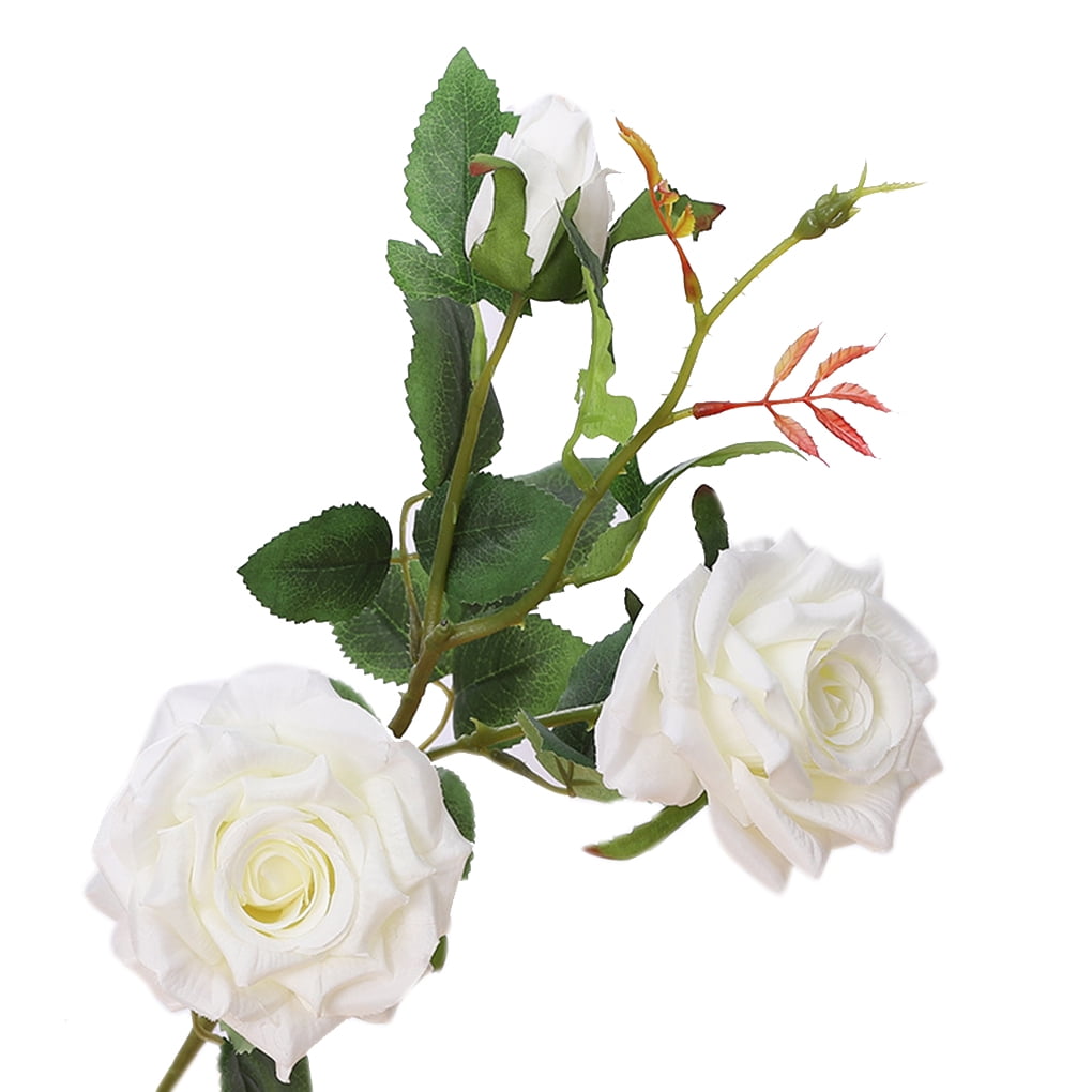 false white roses