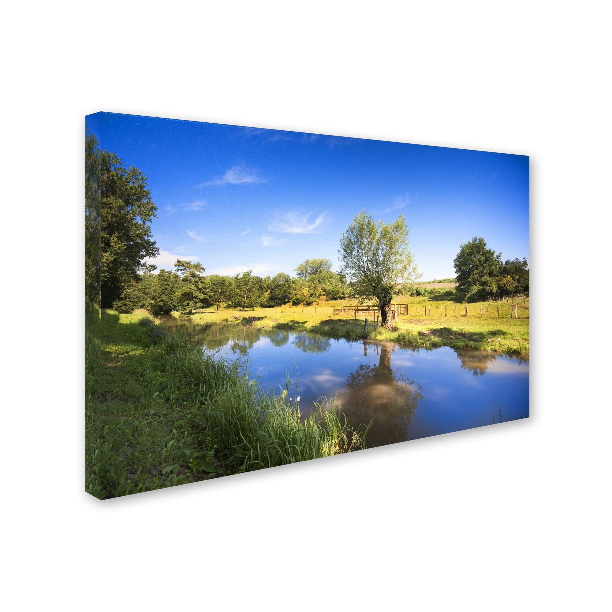 Trademark Fine Art "Blue Brook" Canvas Art by Philippe Sainte-Laudy