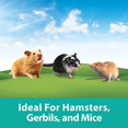 thumbnail image 4 of Super Pet- Crittertrail Crittertrail Fun-nels Valu Pck Large - 100079235, 4 of 6