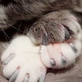 thumbnail image 7 of Ympkerial Cat Claw Caps for Indoor Cats Kitten Medium Size 20 Count Soft Paws Covers with Adhesive Glue Applicator Tool for Grooming and Scratch Prevention Pet Supplies Must Haves, 7 of 7
