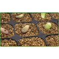 thumbnail image 5 of Seedling Tray, 5 Pack Professional 12 Hole Seed Tray Insert Starter Tray with Lid-, 5 of 5