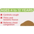 thumbnail image 6 of Equate Children's Cough Liquid, Cherry Flavor, Ages 4 to 12 Years, 4 fl oz, Compare to Children's Mucinex® Cough Active Ingredients, 6 of 9