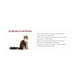 thumbnail image 2 of Alimento Croqueta Gato Royal Canin Kitten 3.10kg 542507, 2 of 2