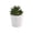 C, variant on huayou Mini Artificial Succulent Potted Plant with White Plastic Pot, Faux Wide Flat Leaf Succulent, Tabletop Living Room Office Desktop Decoration