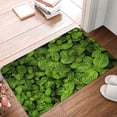 thumbnail image 5 of Fotbe Extra Durable Door Mat - Dirt Trapping Outdoor Welcome Mats - Non-Slip Outdoor Door Mats - Low Profile Front Door Mat - Indoor (16" x 24", Tiny Green Fern Leaves ), 5 of 8