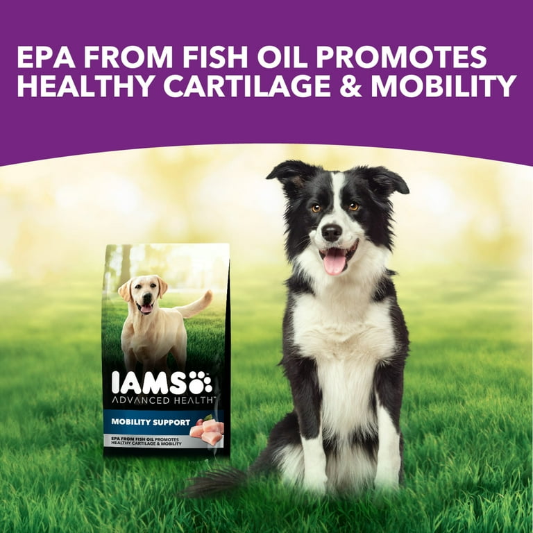 Iams Advanced Health Mobility Support Chicken Whole Grain Recipe Adult Dry Dog Food 36 Lb Bag Walmart