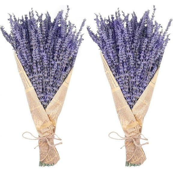 NOGIS 2 Pack Dried Lavender Bundles,Natural Dried Lavender Flowers Bouquet with Stems -Greate Home Fragrance Product for Decoration/Wedding/Party/Sprigs for Cocktails | Length 16 inches