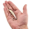 thumbnail image 3 of Berkley Finisher 7cm Stealth Shad, 3 of 6