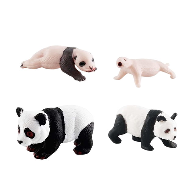 Modèle panda 4 Étapes de Jeu de panda Jouets Éducatifs Scientifiques Modèles de Cycle de Croissance Animale, style C