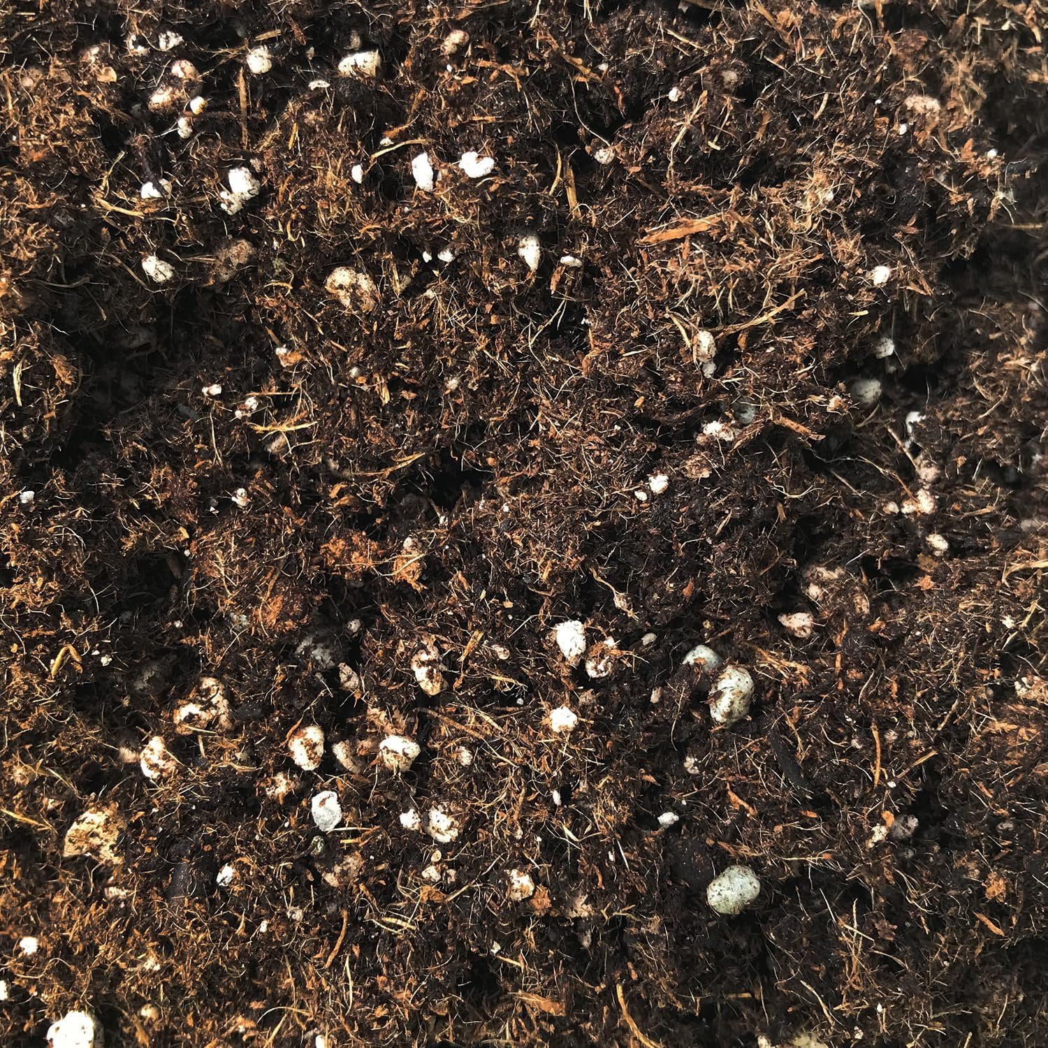 Palm Tree Growing Soil Mix  5 Quarts - Custom Soil Blend  Potting Mix for Palm Trees  Specially Developed by and for Professional Nursery Growers - Nutrient-Rich Formula