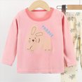 thumbnail image 6 of NOLDARES Toddler Boys Fall Winter Set Long Sleeve Cute Print Graphic Crewneck Sweatshirt Elastic Waist Joggers 2 Piece Warm Outfits Clothes Size:3-4 Y,Pink, 6 of 9