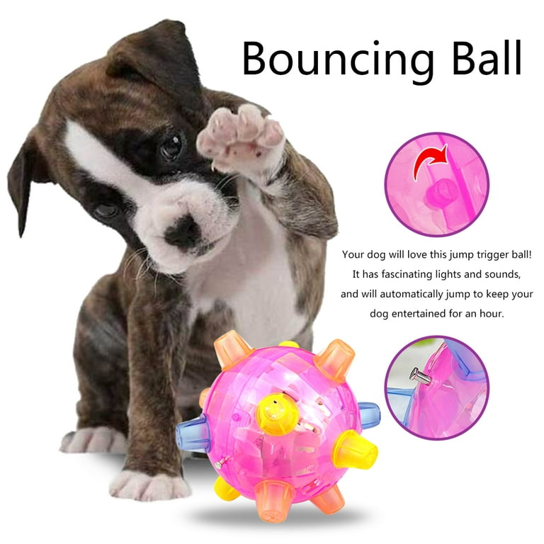 Dog Toy Interactive Plush Squeaky Electric Pet Toys, Battery Operated Auto  Moving Ball, Prevent Boredom (Hedgehog)