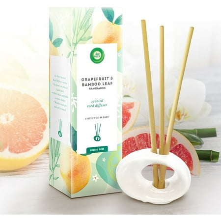 Airwick Premium Crafted Reed Diffuser Grapefruit & Bamboo Leaf 1 ea (Pack of 3)
