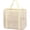 Off-white, variant on Mesh Beach Bag, Large Beach Tote with Zipper Pocket, Toys Pool Bag for Family Travel Vacation Cruise Essentials