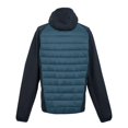 thumbnail image 2 of Regatta Veste Hybride Andreson VIII pour Hommes, 2 of 4