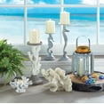 thumbnail image 3 of Accent Plus Large White Coral Tabletop Decor 9.25x4.5x6.5√¢‚Ç¨¬ù, 3 of 5