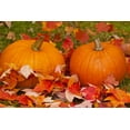 thumbnail image 2 of Illg, Cathy and Gordon 14x11 White Modern Wood Framed Museum Art Print Titled - Minnesota Close-up of pumpkins and autumn leaves, 2 of 4