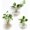 3, variant on PETGLE Wall Hanging Glass Terrariums Planter Oblate Flower Vase for Hydroponics Plants, Bathroom, Home Office Living Room Decor, Set of 2（Plants not Included）