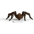 thumbnail image 6 of Schleich Harry Potter - 6" Aragog Spider Figurine Toy - Wizarding World Collectible Figures for Kids and Adults Ages 6+ | 13987, 6 of 7