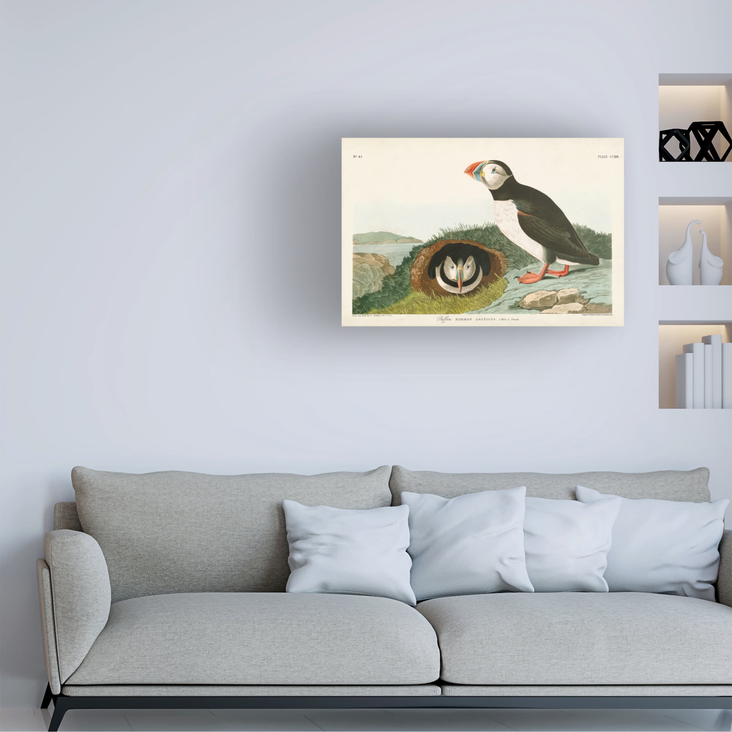 John James Audubon 'Puffin' Canvas Art