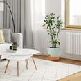 thumbnail image 7 of Behome Set of 5 Plant Pots, 5/5.5/6/6.5/7 Inch Flower Pot Indoor Self Watering Planters with Drainage Holes and Saucers, Modern Decorative Planter Pot for All House Plants, Green, 7 of 7