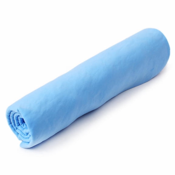 CSSJKYJ Chamois Drying Cloth Car Drying Towel Real Leather Super Absorbent Fast Drying Natural Chamois Car Wash Cloth Accessory (Blue)