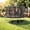 Black, variant on Cochan 14FT Trampoline with Net, 1400LBS Outdoor Trampoline for Kids and Adults with Ladder, Anti-Rust Backyard Heavy Duty Round Trampoline with Enclosure, 6-7 Children,Birthday Gift