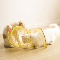 thumbnail image 5 of CIYISON Cute Cat Tunnel Tube Collapsible S-shape Tunnels Toy for Indoor Cat Pet, 5 of 16