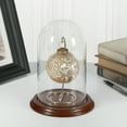 thumbnail image 3 of Plymor 4.5" x 8" Glass Display Dome Cloche (Walnut Veneer Base), 3 of 3