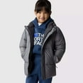 thumbnail image 3 of The North Face North NF0A82YLDYY Puffer Jacket Toddler 2 Gray Hooded APP1408, 3 of 5