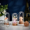 thumbnail image 2 of 20Set Glass Dome Cover Decorative Display Case Cloche Bell Jar Terrarium with Cork Base Arch Clear, 2 of 9