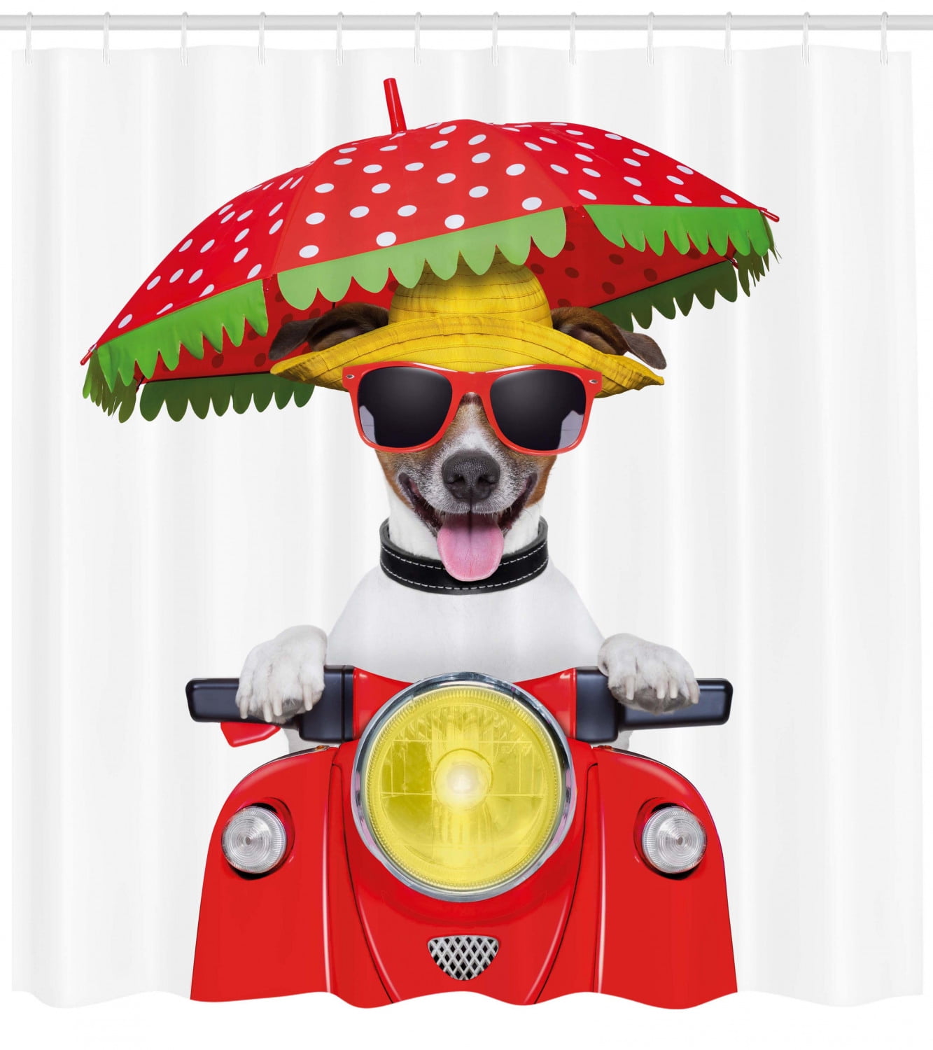 dog umbrella hat
