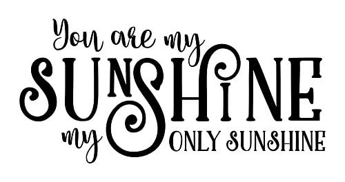 その他 RESERVED for Sunshine only You Are My Only Sunshine Wall Decals Love Quote, 23 x 11 , Black