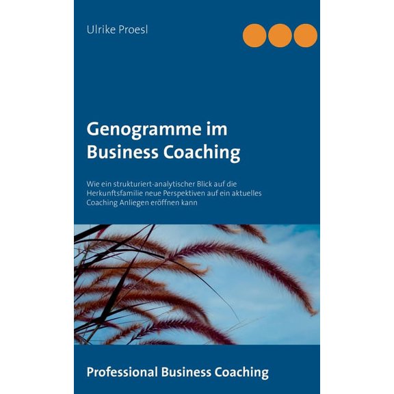 Genogramme im Business Coaching: Wie ein strukturiert-analytischer Blick auf die Herkunftsfamilie neue Perspektiven auf , (Paperback)