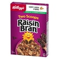 thumbnail image 4 of Kellogg’s Two Scoops® Raisin Bran Original 375g, 4 of 4
