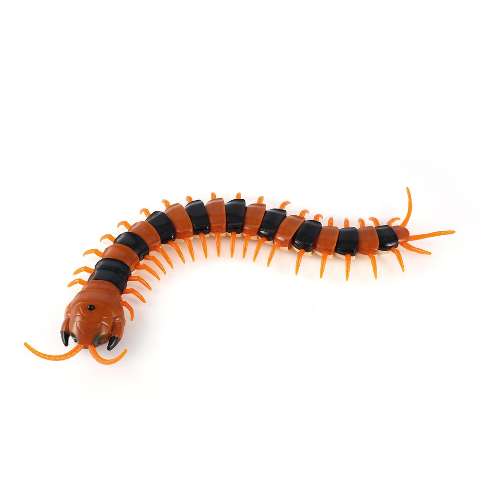 rc centipede