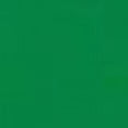 thumbnail image 4 of Playera Blusa Con Impresion De Oso Saliendo Del Pecho Ropa Para Mujer Color Verde Talla Grande Marca Emil SaEs, 4 of 4