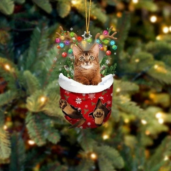 Acrylic 2D FLAT Cat In Snow Pocket Christmas Ornament 12