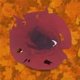 thumbnail image 6 of Xfvqtps Halloween Witch Hat Leaf Decor Halloween Spire Hats for Party Accessory Red, 6 of 6